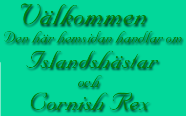 Vlkommen till hemsidan om Islandshstar och Cornish Rex